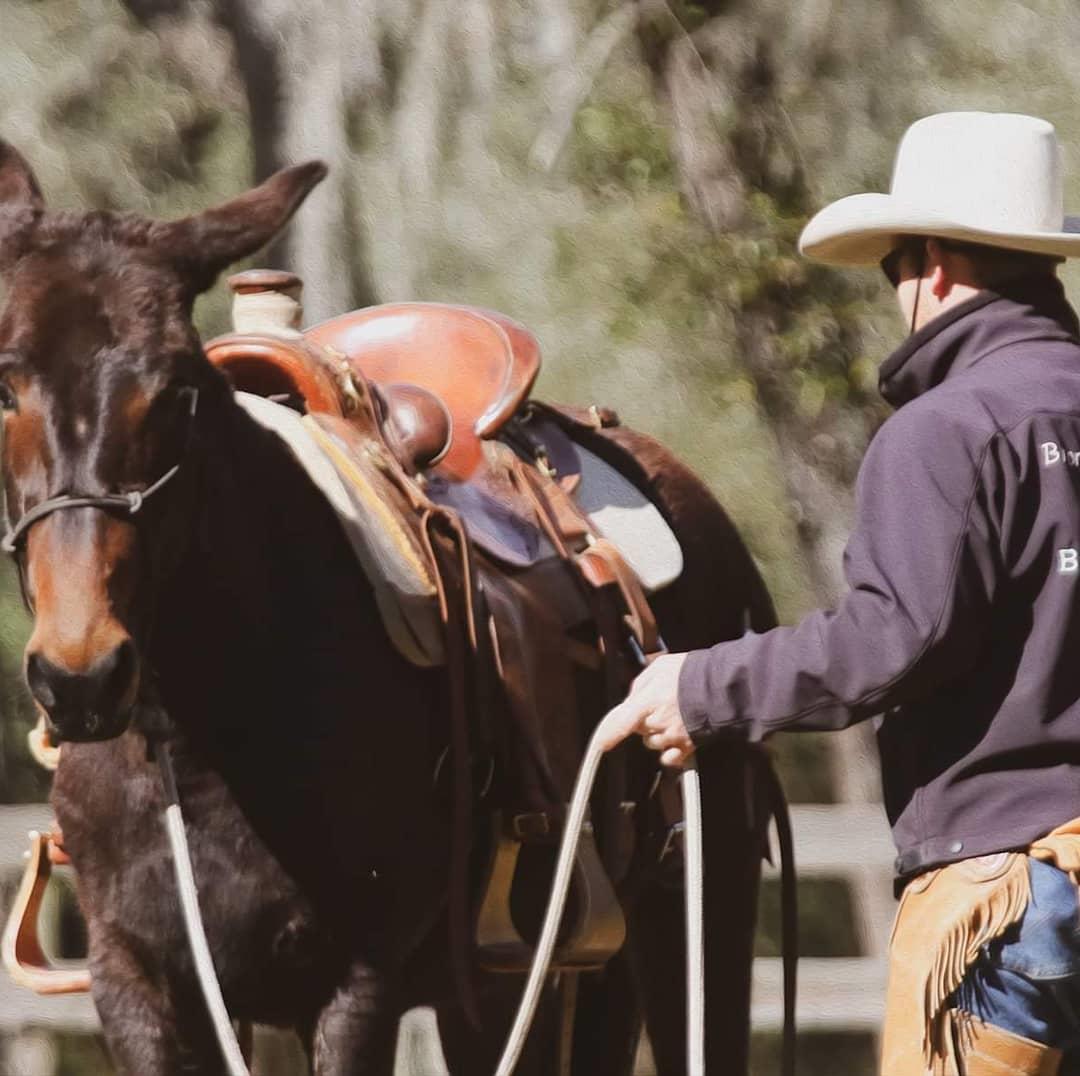 Ty Evans Mulemanship Clinic @ Spotted Dance Ranch.. On assignment for Hernando Sun.
#tyevansmulemanship #spotteddanceranch #HernandoSun