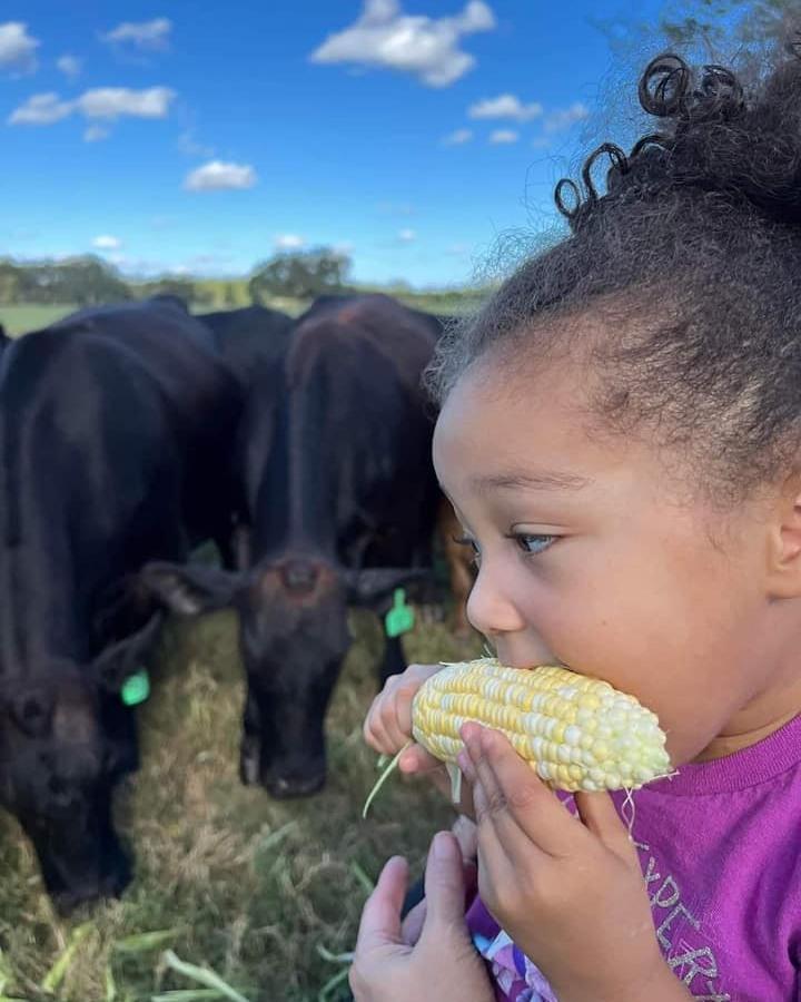 It's CORN! 🌽 Celebrate #NationalCornDay by planning a visit this week to Finest Farms in Brooksville, where you'll find fresh produce and blooming flowers, perfect for a selfie or u-picking!

🌽Finest Farms is located at 16382 Powell Road, Brooksville. 
Hours for produce 9-5 weekdays, Saturday 9-2 
Flowers are Saturdays only 9-2 

.

.

.
#FLAdventureCoast #loveFL #Floridaliving #brooksville #BrooksvilleFL #ThisisHernando #FloridaSummer #FloridaTravel