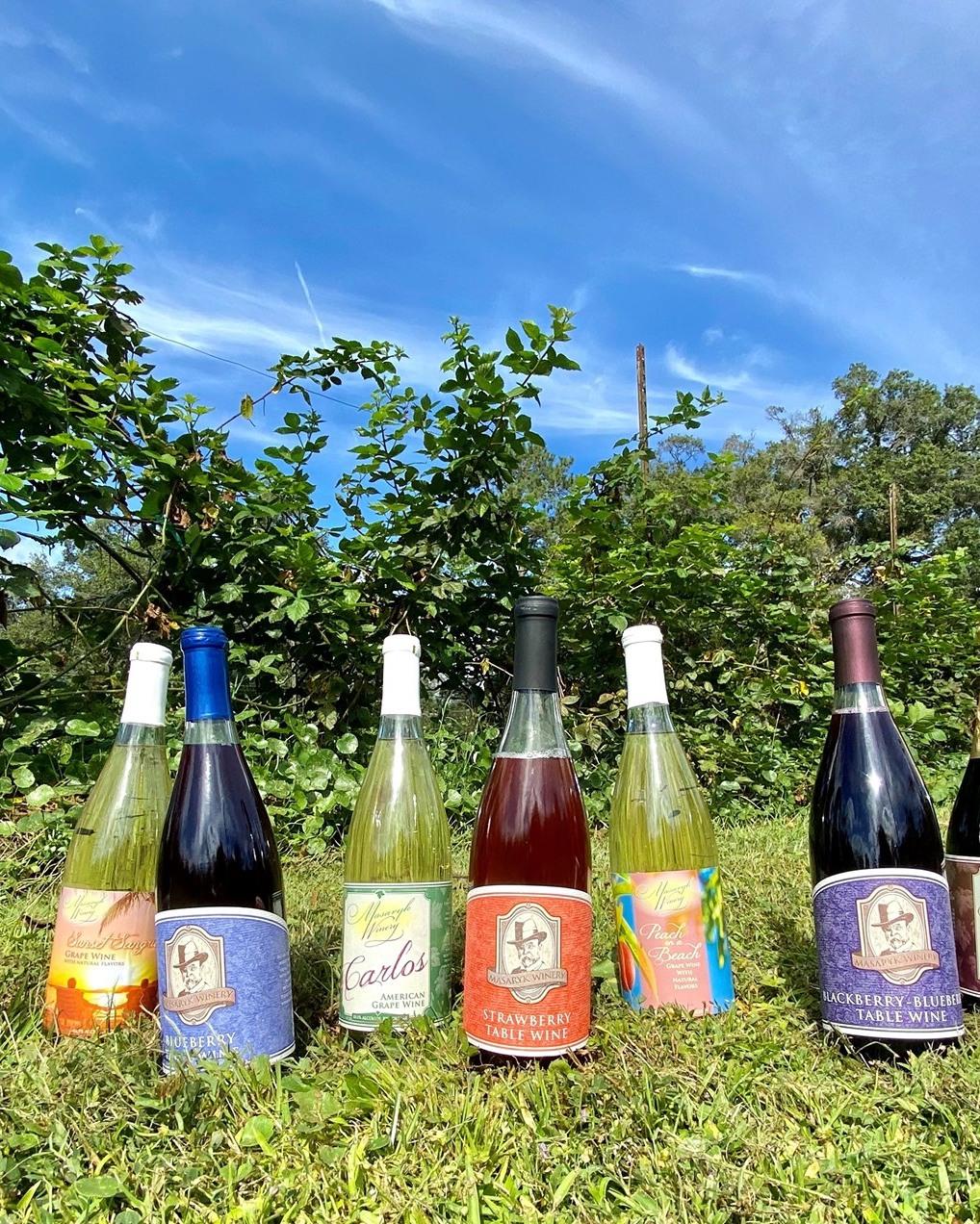 Fun Fact: Not only does Masaryk Winery offer amazing wines and fresh produce; this local gem also has a farm-to-table restaurant!

Enjoy brunch and some of the tasty desserts in the cafe, and check out upcoming live music and crafts shows.

More info: www.masarykwines.com
Located at 19125 Phillips Road, Brooksville, FL

.

.

.
#FLAdventureCoast #Brooksville #BrooksvilleFL #Floridawinery #floridatravel #farmtotable #floridaeats #hernandocounty #floridawinery