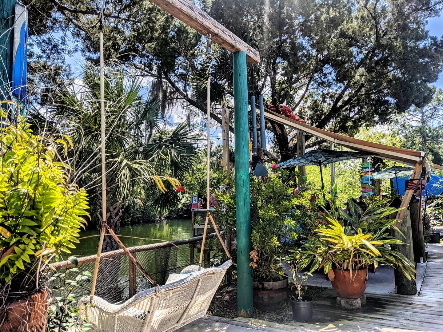 #HernandoBeach 🐬

#HernandoBeachFL #HernandoBeachFlorida #beach #beaches #SilverDolphin #restaurant #restaurants #countrystore #countrystores #Floridafoodie #Floridarestaurants #Florida #FL #turtles #turtle #dolphin #dolphins #plants #decor #exteriordesign #Hernando #lunch #lunches #signs #bacon #steak