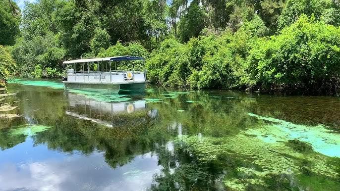 Our popular riverboat cruise will be temporarily closed January 13-17 for routine maintenance. We apologize for any inconvenience and look forward to welcoming you back aboard on January 18th! All other park attractions, including our world-famous mermaid shows, will remain open during this time.  #fladventurecoast #weekiwachee #tourism #travel #wanderlust