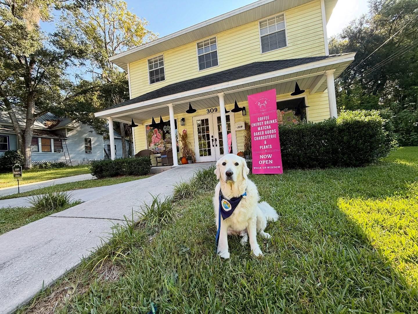Today I had the best time sniffing around the cozy shelves at citrus_sage_bookshop in downtown Brooksville. 📚🍊 I was filming a brand-new episode of my series Halo’s Hangouts, and let me tell you… this one’s going to be a tail-wagger! 🐾💛

Stay tuned—my adventure at the bookshop will be uploaded next week. You won’t want to miss it! 👀📖

#HalosHangouts #HaloTheTourismDog #BrooksvilleFL #FloridasAdventureCoast