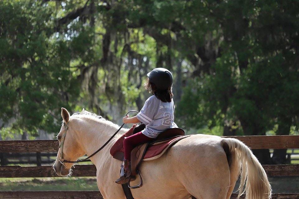 A horse can change the way you see the world.