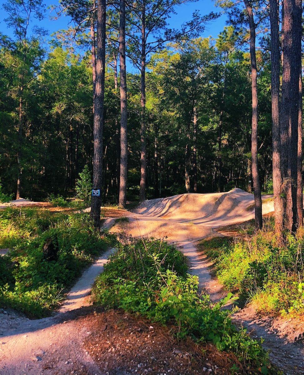 Weekend Plans? We’ve got a little sweat and a little scenery on tap.⁠
Whether you’re here to dig or ride, we’d love to see you out on the trails this weekend!⁠
⁠
🚧 Saturday, June 7⁠
Wilderness Park Work Day⁠
7:45 AM – Noon⁠
RSVP with your name + sandwich pick to wilderness@swampmtbclub.com⁠
Location confirmed with your RSVP—Flatwoods Trailhead possible⁠
💬 Sandwich orders due Thursday by 5 PM!⁠
⁠
🚴‍♀️ Antioch Park + Old Fort King Trail Ride⁠
8 AM – Noon⁠
Meet: Antioch Sports Complex⁠
MTBs & gravel bikes welcome⁠
Two ride options: 24 or 35 miles⁠
Explore Florida’s hidden wild with historic trails, rivers, and shaded woods.⁠
⁠
Led by Rob DeGraaf (yep—the Fat Tire Favorites guy).⁠
If it’s too wet, we’ll swap in a gravel route!⁠
⁠
🌲 Sunday, June 8⁠
Croom Show & Go Ride⁠
9 AM – Noon⁠
Tucker Hill Trailhead⁠
No signups, just show up and ride at your own pace.⁠
⁠
Thanks to our trail crew, members, and sponsors for keeping this community strong. 💚
