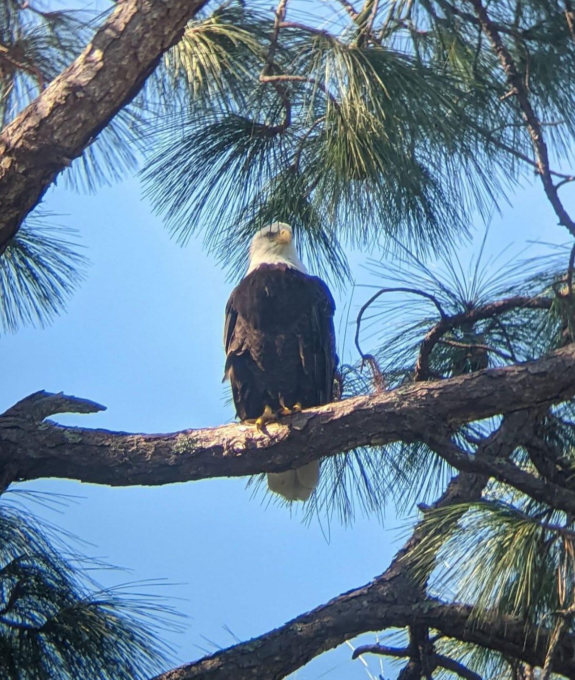 Mother Nature at it’s finest at Weeki Wachee River. Stay littlespringretreat and explore. #beautyofnature❤️