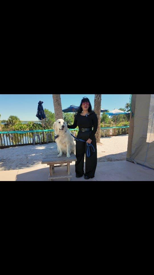 🐾 Hey, pals! It’s me, Halo, your favorite four-legged adventurer! 🐕‍🦺 Today, I wagged my way over to The Drunken Mullet in Hernando Beach, and guess what? They have a pet-friendly menu just for pups like me! 🍖🐾 

My humans enjoyed the cool vibes and great food, while I got my very own yummy treat! 🐾😋 We hung out by the water, soaked up the sunshine, and made some new friends. If you're looking for a pawsome place to chill with your humans, this is it! 🐾 

#travel #fladventurecoast #wanderlust #tourism #hernandocounty #petfriendly #halothegoldenretriever #dogfriendly #dining #drunkenmullet #hernandobeach