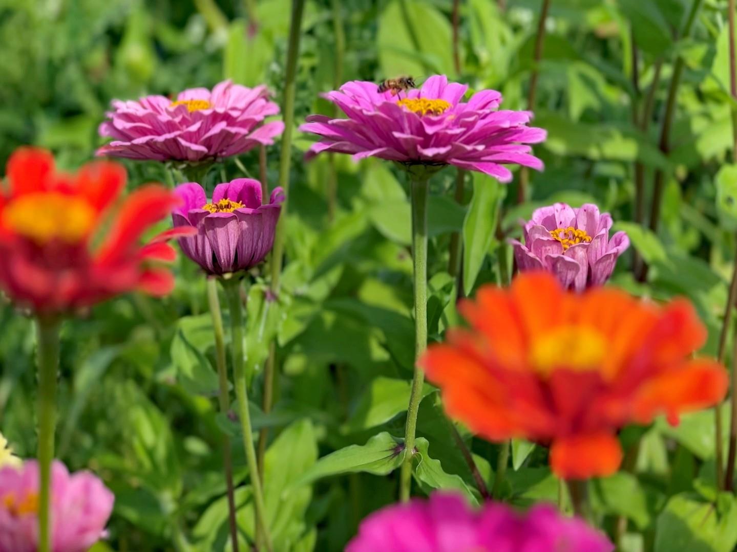 Happy Easter from Florida’s Adventure Coast! 🌸🐣

Wishing you a day filled with sunshine, smiles, and special moments with the ones you love. #FLAdventureCoast

📸📍: HarvestMoon Fun Farm in Masaryktown, FL