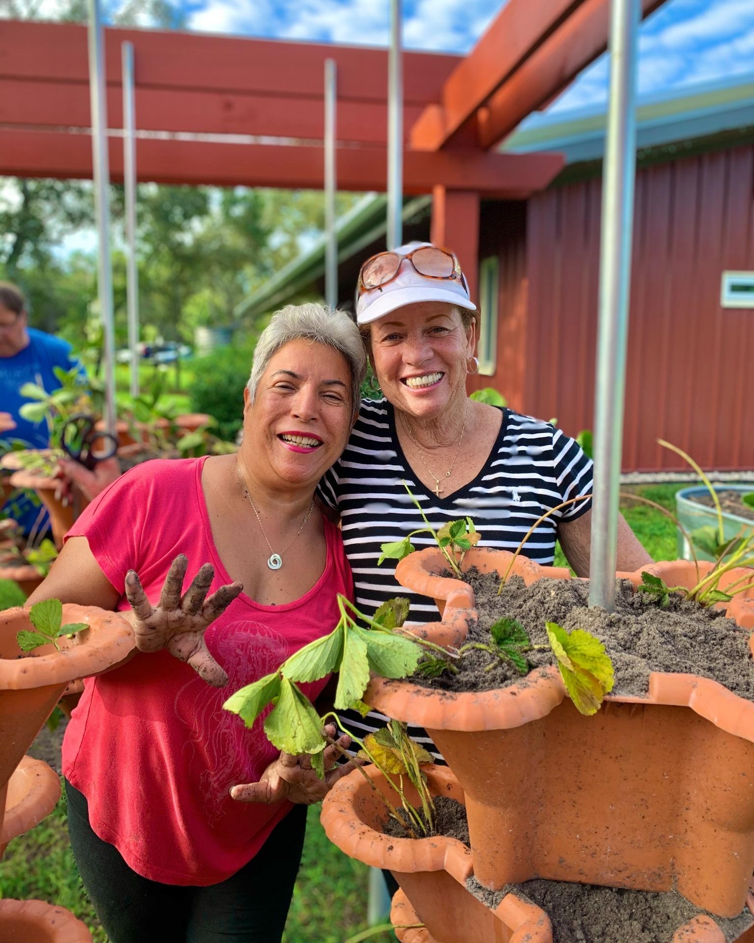 🍓 Get Your Hands in the Dirt! Strawberry Planting Tomorrow! 🍓

Want to learn a new skill and help our garden grow? We are looking for volunteers to help us plant strawberries in our garden stackers tomorrow morning!

This is a great way to get some fresh air, connect with the earth, and contribute to our community garden.

The Details:
🍓 When: Tomorrow at 10:00 AM
🍓 Where: WellCome OM
🍓 No Experience Needed: Whether you're a seasoned green thumb or have never planted a seed, you are welcome!
🍓 No Equipment Needed: We’ve got everything ready for you.

Our Garden Master, Michael, will be there to guide everyone and share his expert tips on how to ensure these strawberries thrive.

Come enjoy the sunshine and help us prepare for a sweet harvest! See you in the garden! 🌿☀️

#CommunityGarden #StrawberryPlanting #GardenToTable #WellComeOM #Volunteers #LearnToGrow #SpringHillEvents