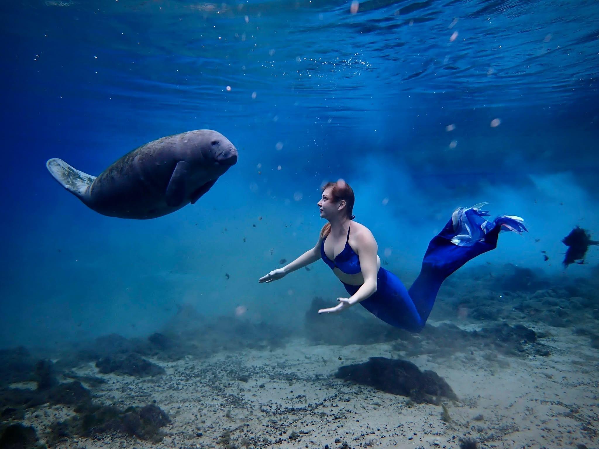 🧜🏻‍♀️ Happy #MermaidMonday with Kayla! The mermaids perform daily at 11 AM, 1:30 PM, and 3 PM. (Weather permitting).

BUCCANEER BAY is now open for the 2024 season. Download the new Friends of Weeki Wachee Springs State Park phone app for hours of operation.

Download the new Friends of Weeki Wachee Springs State Park for FREE and sign up for real-time notifications including weather closures, the release of camp dates, capacity updates, Buccaneer Bay schedule, and other important information. Visit https://friendsofweekiwachee.com/app/ for more information.

#weekiwachee #mermaid #lovefl #fladventurecoast #tourism #visitflorida #tourism #visitflorida #travel #waterpark #wanderlust