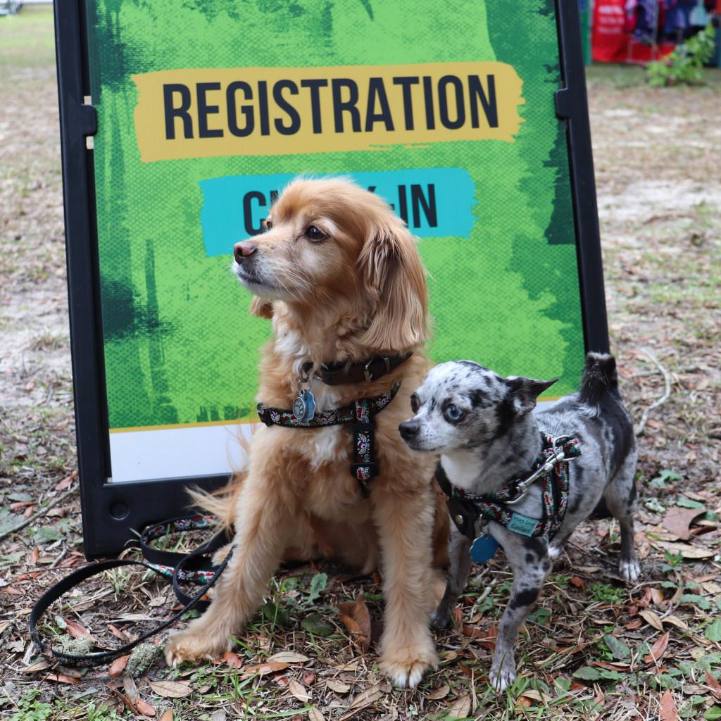 🚵‍♂️ Have you registered for CroomFest yet?⁠
⁠
Now’s the time. From epic off-road challenges to guided gravel rides, camping, paddling, and more, this is SWAMP’s biggest weekend of the year and it’s coming up fast.⁠
⁠
📅 February 4–9, 2025⁠
📍 Silver Lake Campgrounds⁠
⁠
👊 Volunteer 6 hours to earn meals, swag, a shirt, and a Sunday celebration⁠
💥 Sponsor, vend, or donate gear to help keep the stoke alive⁠
⁠
Spots and campsites fill quickly. Don’t wait to sign up and be part of the adventure. 🌲🔥⁠
⁠

Made possible by incredible sponsors like fladventurecoast