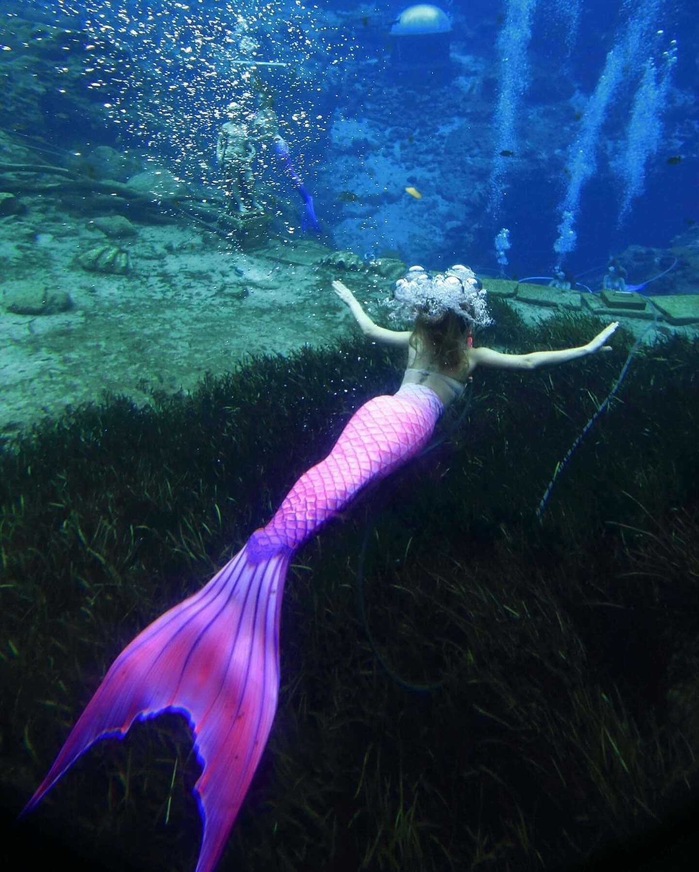“Tails in the air like we just don’t care – It’s a mermaid party!” — Barbie: The Pearl Princess 🧜🏻‍♀️🩷

Join us for a magical evening at the Magical Mermaid Tea Party this Saturday night at Weeki Wachee! Sparkling tea, sweet treats, and mermaid meet-and-greets await.

🌊 Book your spot now! Link in bio.

#weekiwachee #weekiwacheesprings #weekiwacheemermaids #weekiwacheeriver #weekiwacheespringsstatepark #weekiwacheestatepark #weekiwacheeflorida
