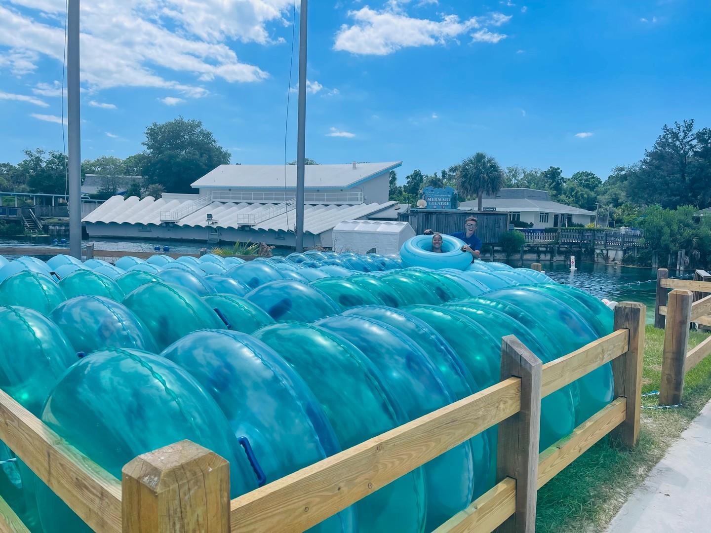 Are you ready for a relaxing adventure? Hop on our incredible Lazy River Ride for only $10 per person! Remember, you must be 42 inches to ride this attraction! Located inside of Weeki Wachee Springs State Park- admission fee required. 🕶️☀️🐟