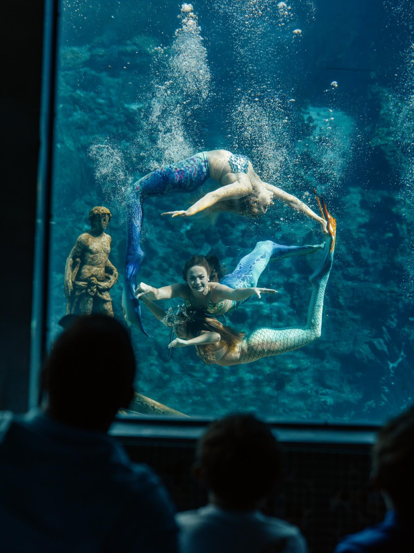 Ready for an adventure this President’s weekend? ✨ Enjoy free admission to Florida’s beautiful state parks, including the amazing Weeki Wachee Springs this February 13-16! 🧜‍♀️

Don't forget to download the "Friends of Weeki Wachee Springs State Park" app for park updates, and make some great memories!

#FloridasAdventureCoast #LoveFL #PresidentsDay #FloridaTravel #WeekiWachee