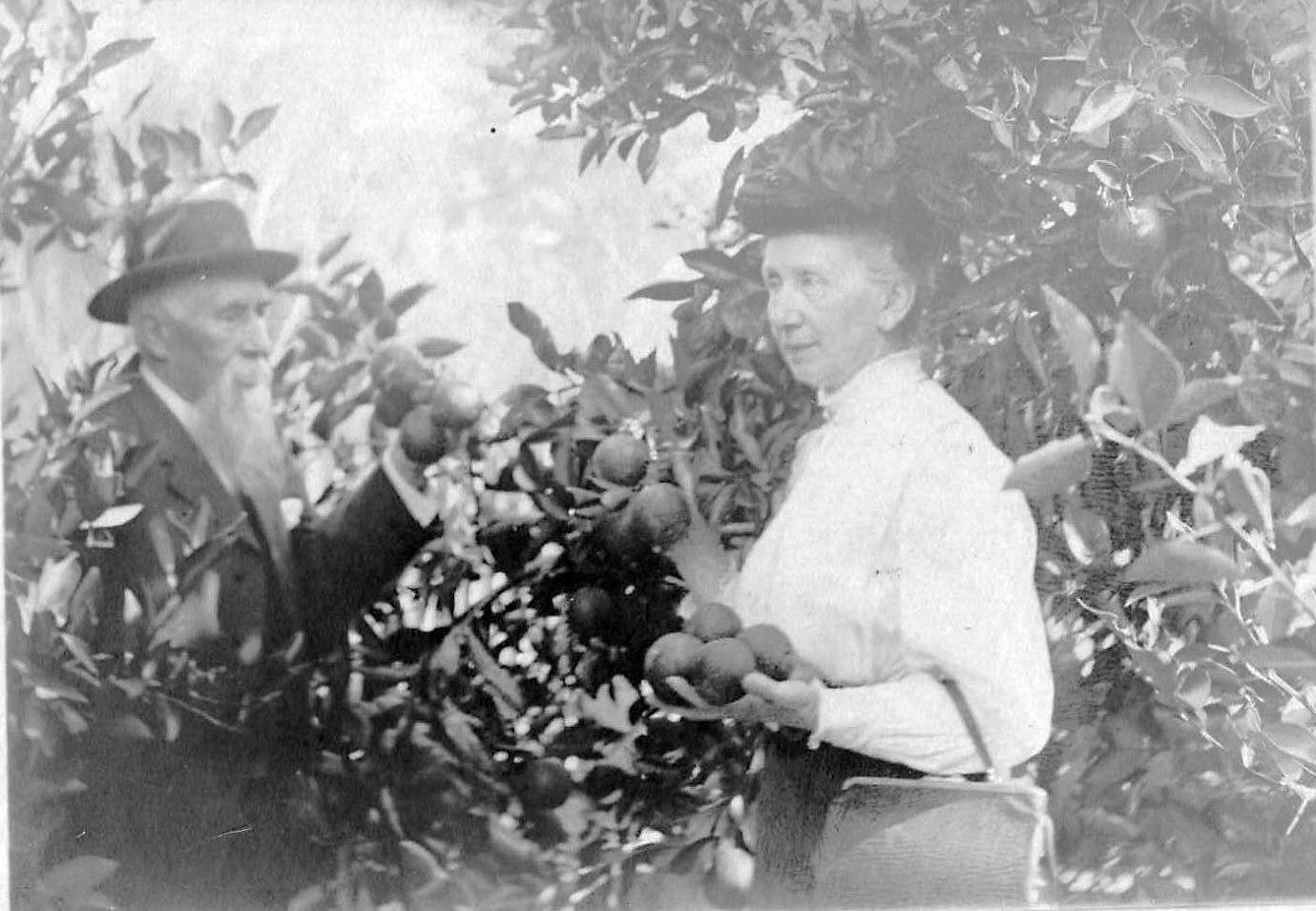 🍊 Did you know Brooksville has been known as the “Home of the Tangerine” since the 1800s? From John Hale’s first citrus plantings to today’s downtown celebration, this festival honors a legacy more than a century in the making. Come taste a little history on February 7.
See story below 👇
.
.
https://naturecoaster.com/brooksville-tangerine-festival-returns-february-7-with-citrus-cars-art-and-small-town-charm/
#BrooksvilleHistory #FloridaCitrusHeritage #BrooksvilleFL #NatureCoaster