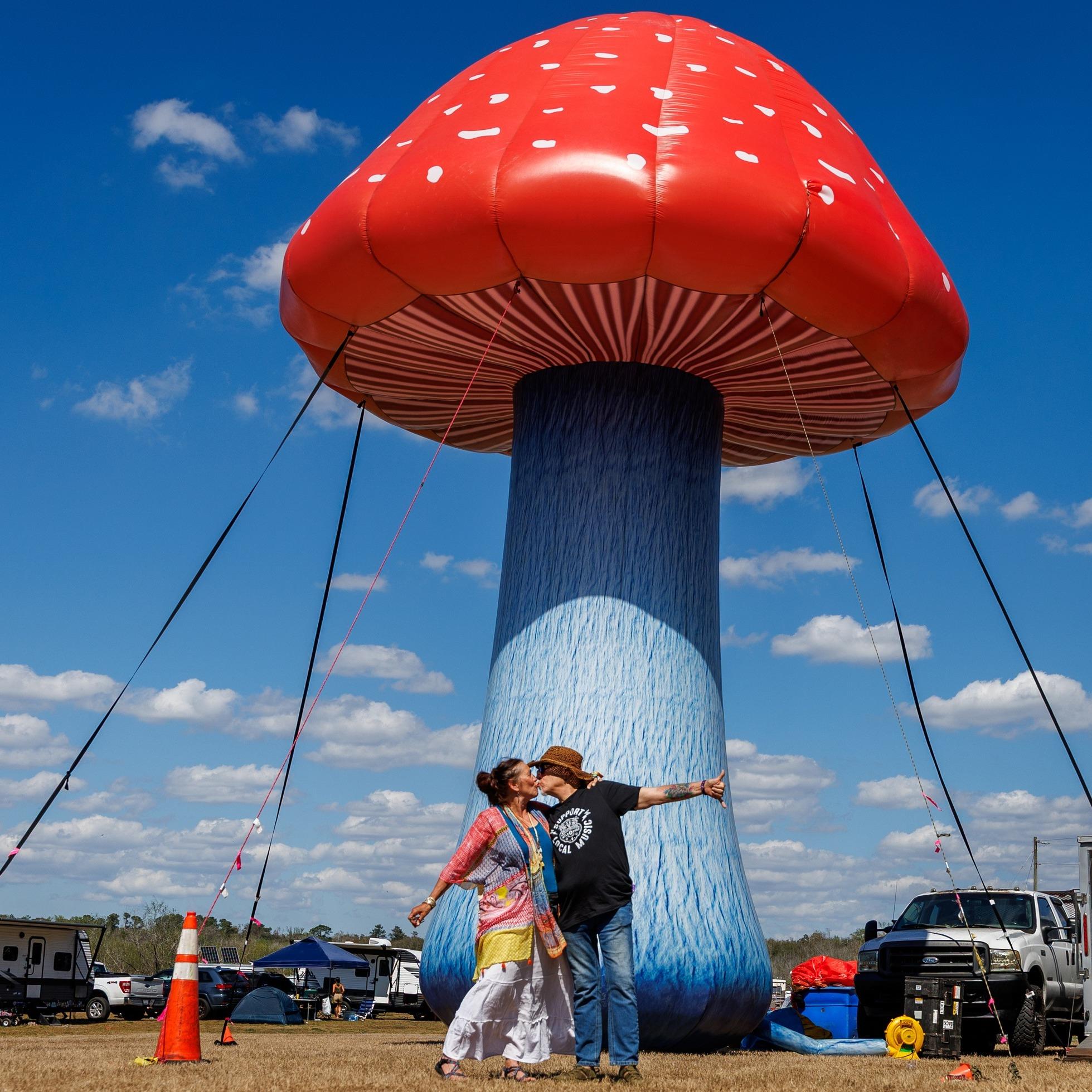 Looking back at those smily festival faces, we get all warm and fuzzy inside. Photos by Funk Eye Media. Love by the Whippersnap Festival Family. funkeyemedia Funk Eye Media #whippersnap2026 #festivalvibes❤️ #musicfestival #festivalfamily #Floridafestival #Whippersnap