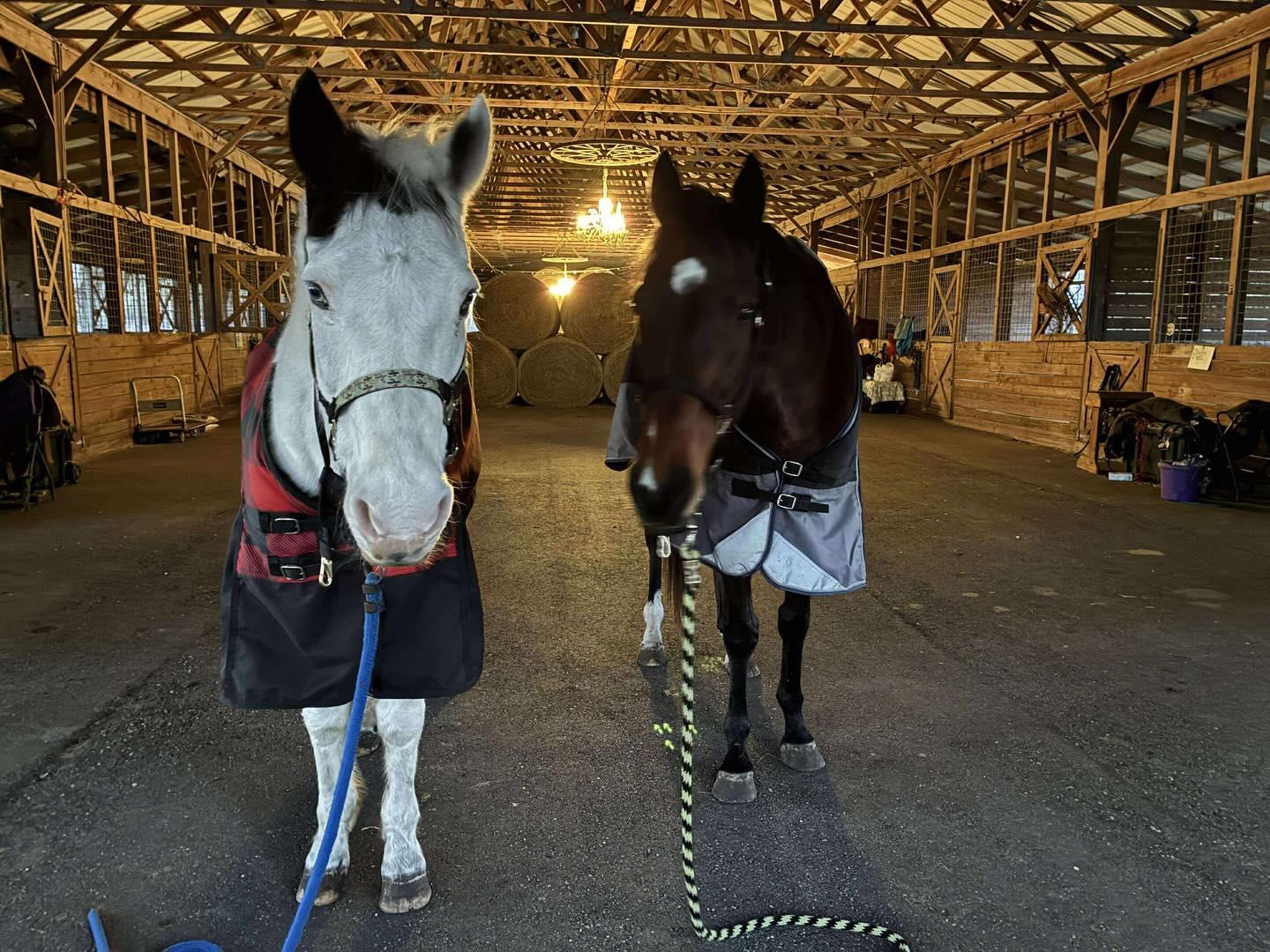 Baby it's cold outside ❄️
A photo dump from the last cold front