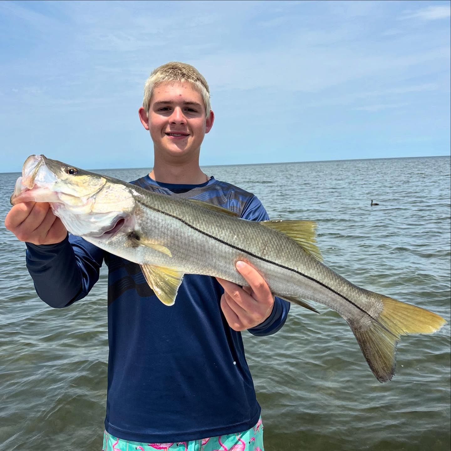 A lot of our redfish lately have been very colorful and have lots of spots!! Snook bite is very hot with the warmer water and bait running, trout are starting to move out to the deeper grass! Give us a call to book a trip and catch a southern slam!