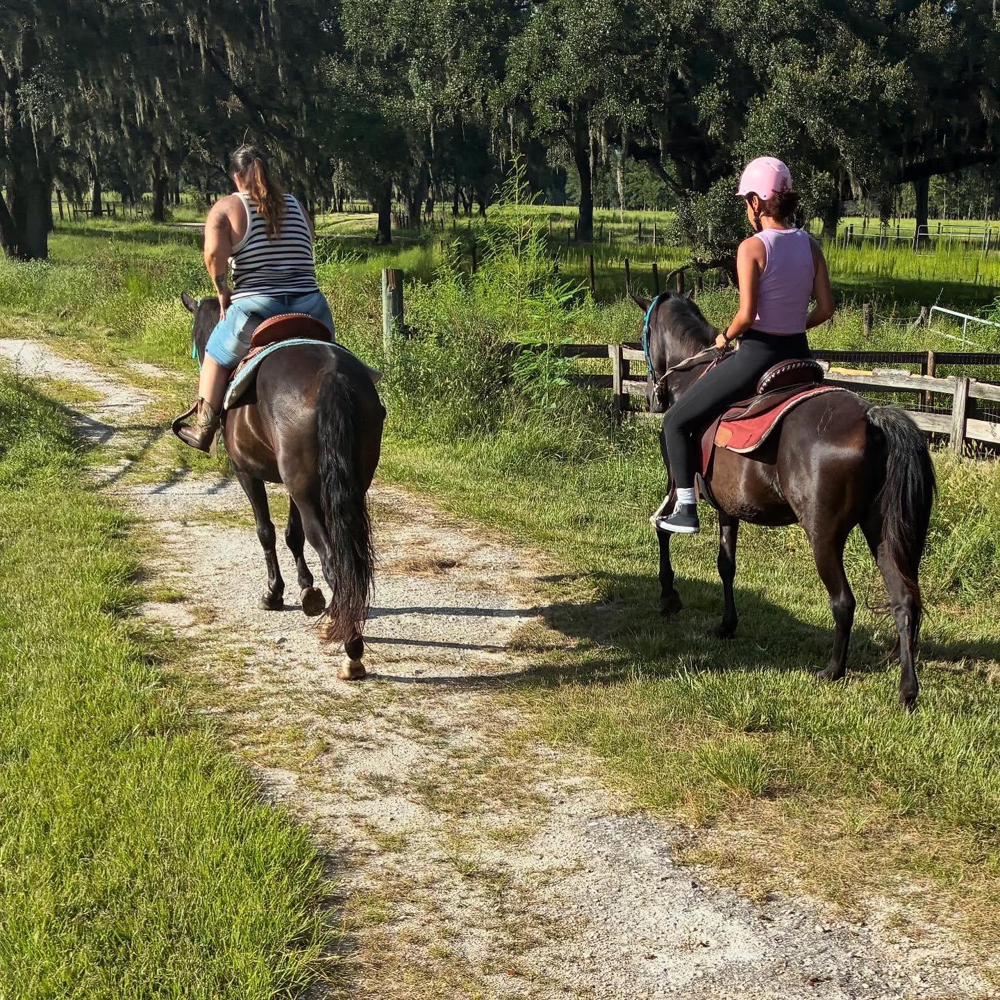 Just a nice stroll 🐎