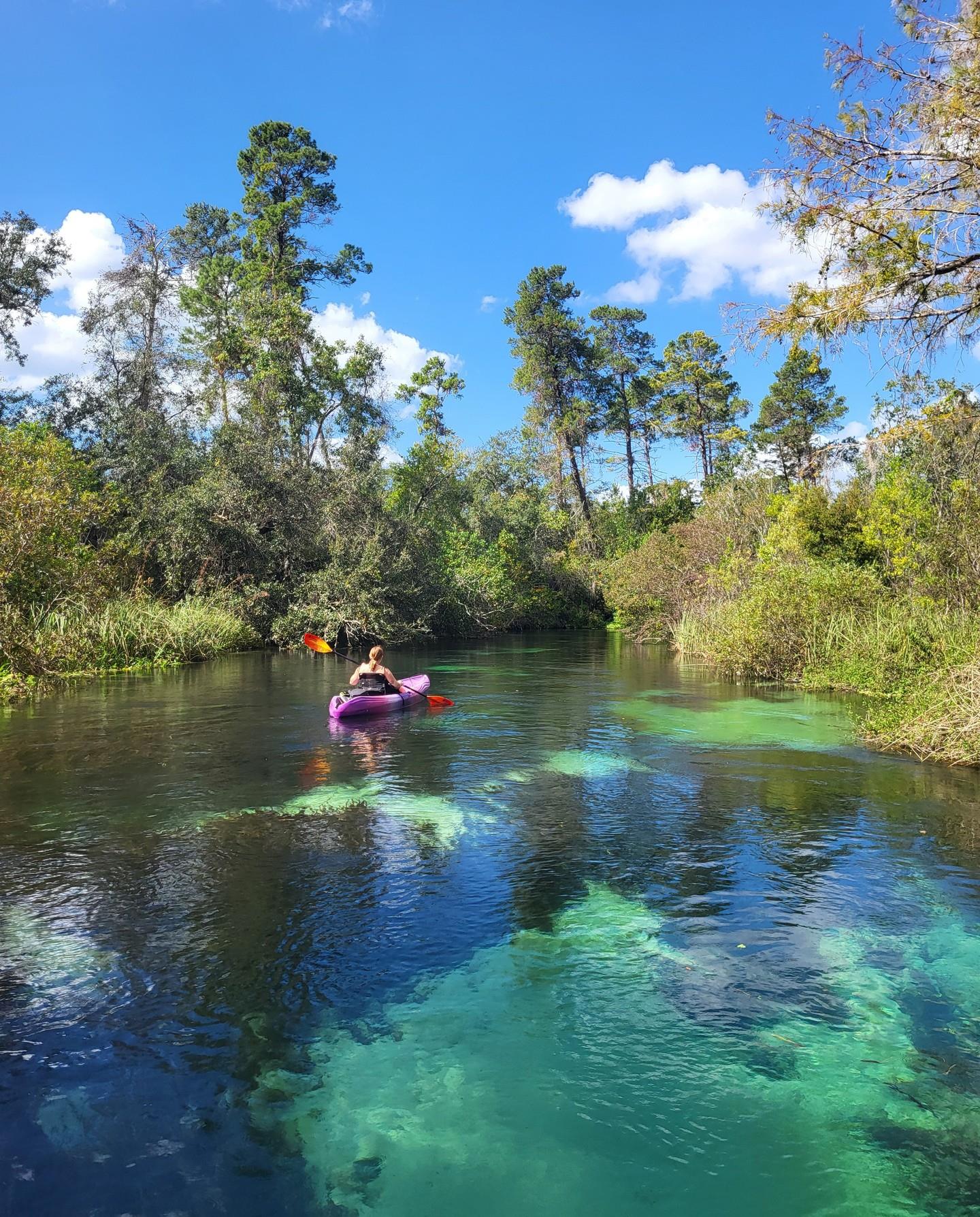 Paddling through paradise at Weeki Wachee. 💙✨ Book your adventure now!