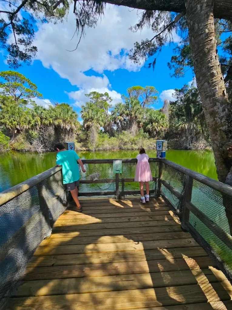 Make Tuesday a Family Night at The Silver Dolphin 🐬

🍽 Tuesday Special: Country Ribs

Bring the family and enjoy Kids Eat FREE from 3pm–9pm every Tuesday! 👨‍👩‍👧‍👦

Our March mocktails are a fun treat for the kids, while the adults can enjoy our festive drink of the month. 🌈🍹

Come for the views, stay for the food, and enjoy some of our favorites along the canal.

✨ Join us at The Silver Dolphin tonight.

#SilverDolphin #HernandoBeach #KidsEatFree #TuesdaySpecial #OldFloridaVibes FamilyDinner