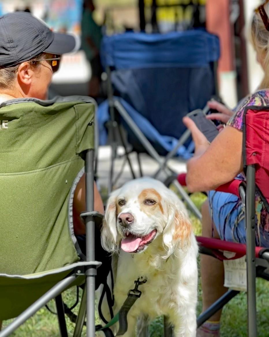 This October 18-20, 2024, enjoy three days at the Camping With The Blues Festival, featuring national and regional blues artists! 🎷🎸

Located at Florida Sand Music Ranch. Camping optional, family and dog friendly. Children's activities on Saturday.

🌐 For more information regarding tickets and camping, call 941-758-7585 or visit www.campingwiththeblues.com.

#FLAdventureCoast  #travelflorida #Florida #hernandocounty #brooksville #blues #bluesfestival #bluesmusic #floridacamping #rvlife #floridaliving
