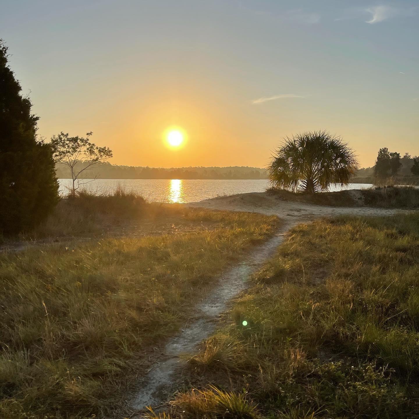 A beautiful sunrise at the Weeki Wachee Preserve, captured by @shaymb⁠
⁠
What does your perfect Sunday morning look like? #FLAdventureCoast⁠
⁠
⁠
.⁠
.⁠
.⁠
#WeekiWachee #Brooksville #Florida #Travel #sunrise #nature #sunshinestate #roadtrip #hernandocounty #springhillflorida #brooksvillefl #tampabay #orlando #ocala #naturecoast #adventurecoast #floridaliving #realflorida #floridasunrise