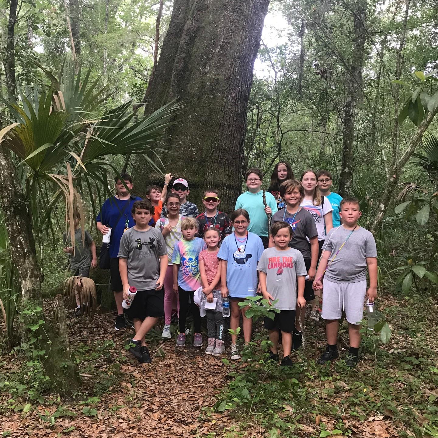 Hernando County summer campers got to go on a hike at Fickett Hammock Preserve today! They hiked about a mile and braved the Florida humidity with only a few complaints! 😂🌞 So much fun to share our beautiful hiking trails with the next generation! 

#eslhernando #hernandocountyfl #summercamp #hikingadventures