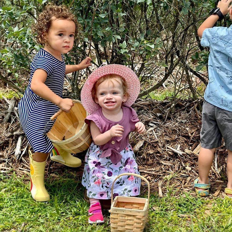 Fresh air, farm fields, and simple joys 🍓🌾

Agritourism on Florida’s Adventure Coast is all about hands-on experiences, seasonal traditions, and quality time together. 

From u-pick adventures to farm-fresh treats and kid-friendly activities, these experiences create meaningful memories rooted in our agricultural heritage:

🍓 JG Ranch – A beloved local farm offering fresh strawberries and seasonal u-pick in a relaxed, countryside setting.

🍷 Upicktopia – A local farm, eatery and winery that offers strawberry u-pick, a produce barn and strawberry wine made from berries grown on the farm.

🐐 Beasley Farm – A multi-generational pesticide-free farm known for their seasonal markets, farm animal encounters, and family-friendly activities.

🍈 The Olive Grove – A unique farm with over 300 trees featuring nine varieties of olives, blending agriculture experiences, hands-on workshops and farm tours.

🥃 NJoy Spirits Distillery – A farm distillery where locally-grown grains are used to craft premium whiskey, rum, and moonshine.

#FLAdventureCoast #Agritourism #FamilyFriendly #FarmFun #UPick #SeasonalTraditions #LocalFlavors #ExploreFlorida
