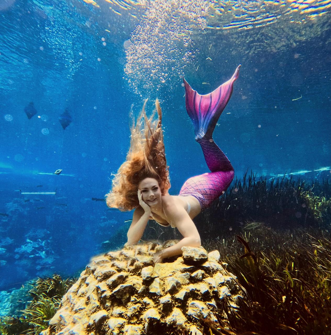 🧜🏻‍♀️ Happy #MermaidMonday with Gabby! The mermaids perform daily, 365 days a year. (Weather permitting). Check the free app for the latest showtimes.

Download the new Friends of Weeki Wachee Springs State Park for FREE and sign up for real-time notifications, including weather closures, the release of camp dates, capacity updates, Buccaneer Bay schedule, Mermaid Show times, and other important information. Visit https://friendsofweekiwachee.com/app/ for more details.

#mermaid #lovefl #fladventurecoast #tourism #travel