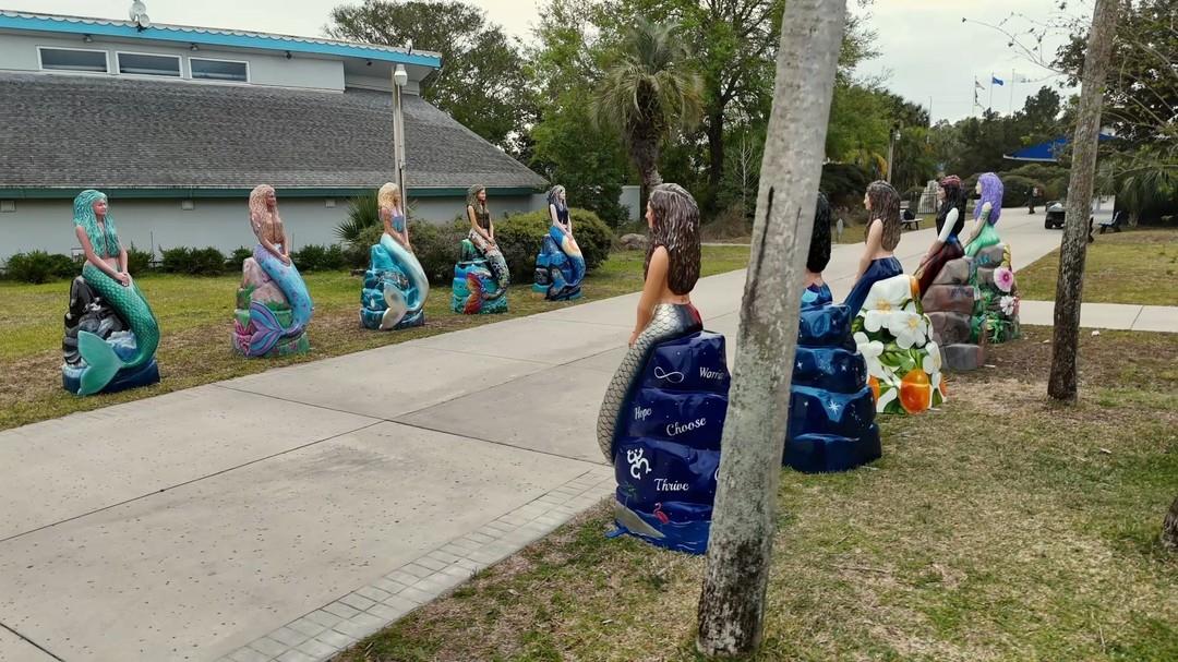 ✨ This past Saturday at Weeki Wachee Springs State Park, we made a splash with the unveiling of 10 new mermaid statues for the Mermaid Tale Trail! 🧜‍♀️

🌊 These beautifully designed works of art will join the trail across Florida’s Adventure Coast, Brooksville-Weeki Wachee, celebrating the magic of mermaids and our coastal charm.

📍 Have you spotted them yet? Grab a map, explore the trail, and share your favorite statue with us! 📸✨

#TheMermaidTaleTrail #FLAdventureCoast #WeekiWachee #Florida #mermaids #LoveFL #MermaidTrail #FloridaTravel