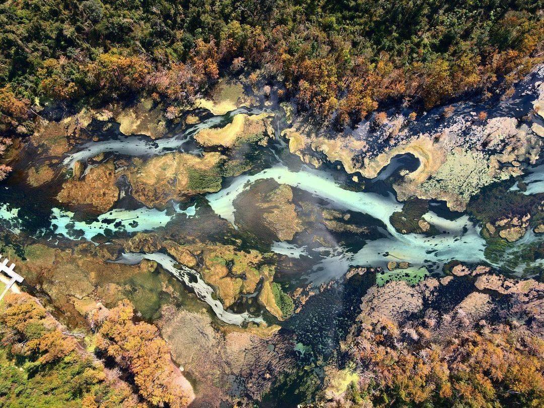 Check out the psychedelic vibes from this bird's eye view of Merritt's Mill Pond during the draw down. 
Jackson County's landscapes are constantly changing and evolving, which provides locals and travelers alike with something to look forward to all year long. 
While the scenes change, the  B E A U T Y  of Jackson remains the same. 

I'ts easy to get stuck in the mundane, same-ole same-ole of everyday life. 
With this year coming to a close, most of us are ready for some sort of change.
We say, why wait? 

Step out of the boring, and into the beauty. 
Jackson County is ready. Are you?

📍 : Merritt's Mill Pond
📸 : @charchar_reef