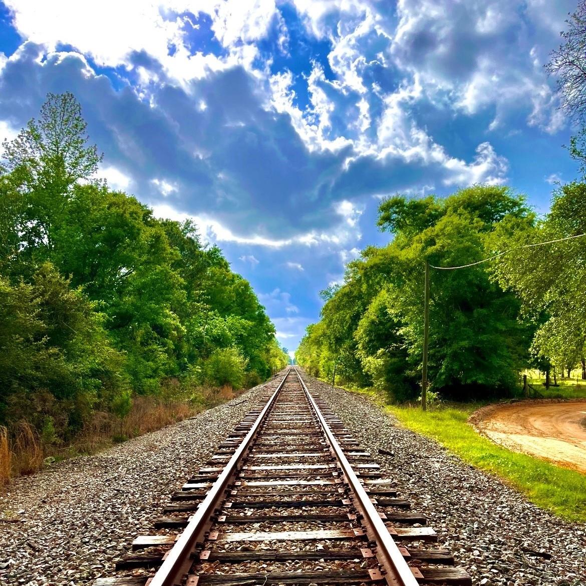 Be bold in your adventures. Choose the path less traveled. 

https://visitjacksoncountyfla.com/