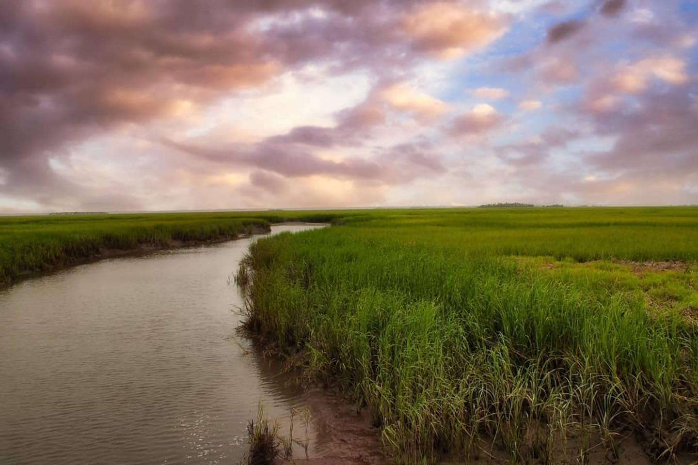 We’re swooning over this lovely photo from @diane8513! 
・・・
#peace #lookingforsomeinspiration #huntingislandstatepark #coastalsouthcarolina #coastalexpeditions #marshlife #skies #landscapephotography #softnaturevibes #visitbeaufortsc #photography #photographyisart #natgeoyourshot #smugmug #luminar4 #explore_skies_ #lensculture #nikonnofilter #lensloves_nature #raw_skies #raw_waters #lowcountrylife #andtheadventurebegins #goodvibesonly #southmagazine