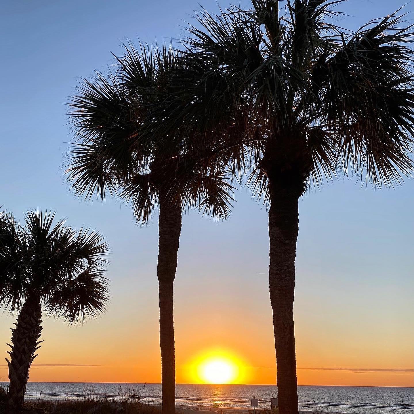 ☀️ Good Morning! 📸: bvancleave