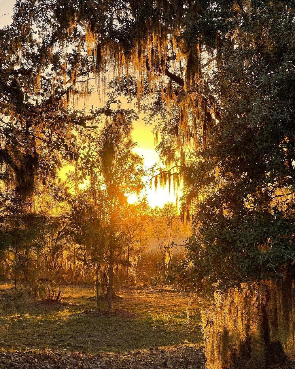 Hellooo Sunshine! 😍 #DiscoverSC

📸📍 Brays Island - jillsharpstudio

#discover #southcarolina #winter #sunday #sundaysunset #Lowcountry #thatsmylowcountry #beaufort #braysislandsc #luvbft #visit #coast #adventure #tripideas  #feburary #travel #vibes #views #explore #travelinspo #goals #instaworthy #roadtrip #vacation