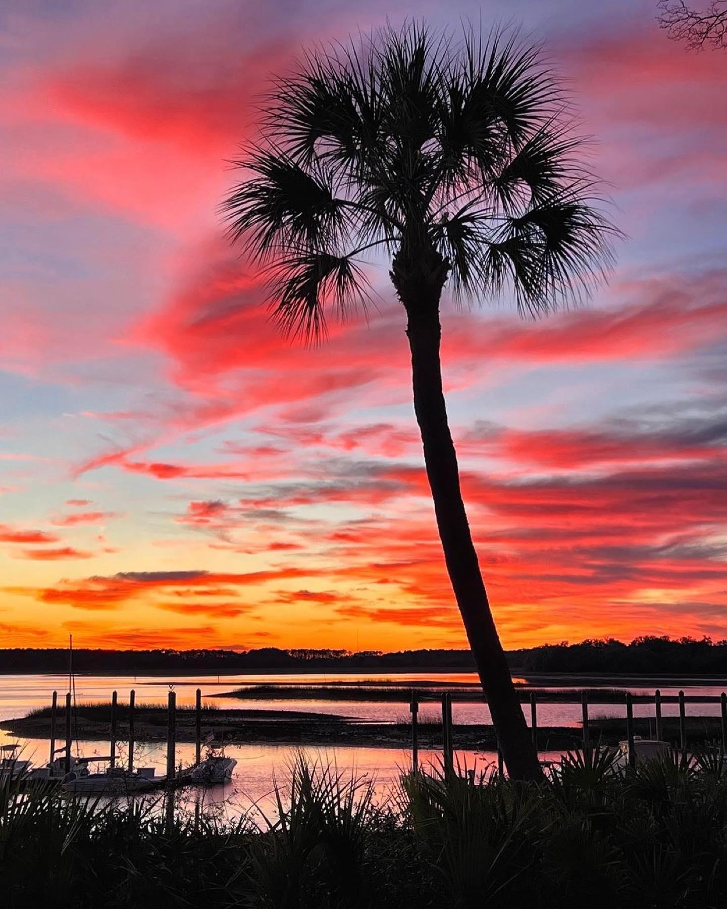 It’s almost the weekend! We’re halfway there! Goodnight Lowcountry! 📸: snoconesbychris
.
.
.
#lowcountry #sunset #lowcountryliving #lowcountrylife #goodnight #palmtrees #ocean #beach #beachvibes #hiltonhead #hiltonheadisland #beaufortsc #luvbft #portroyalsc #blufftonsc #sunsetphotography #sunrise_sunset #sunrise_sunset_photogroup #lowcountryspotlight