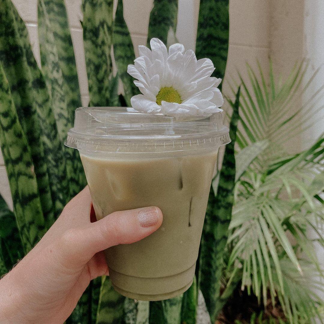 It’s not easy being green, luckily Trilogy has a drink that’s green for you!

📍:@trilogycoffee 
📸:@a.coleman.life

#delandflorida #icedmatchalatte #trilogycoffee #coolcrafttrail #visitwestvolusia #itsnoteasybeinggreen