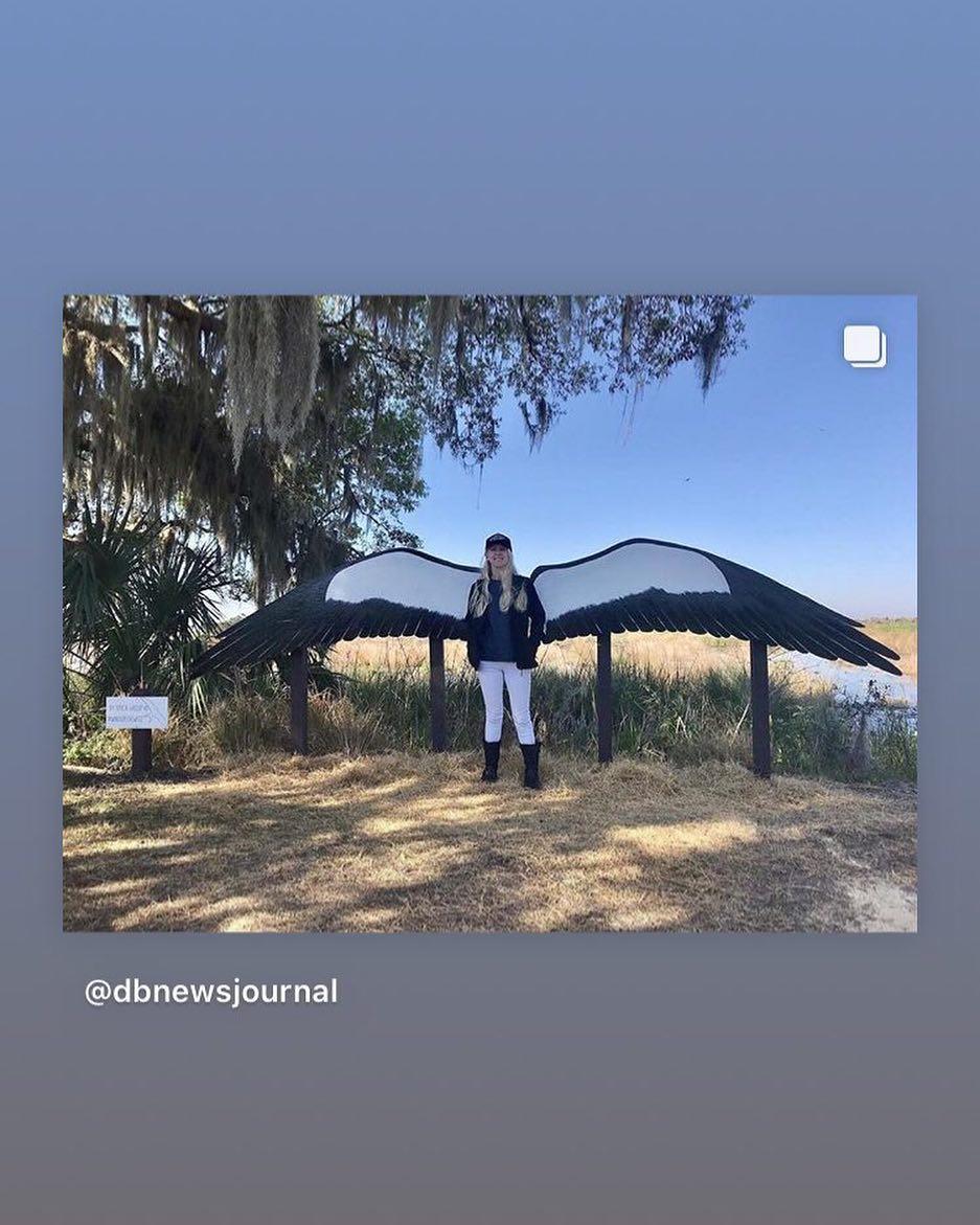 @ericagroup completes #WingsOfTheWest series #repost #visitwestvolusia Swallow-tailed kite at Lake Woodruff National Wildlife is the last in the series to join the original #delandwings, biplane at Skydive DeLand, peacock wings at Barberville Pioneer Settlement, fairy wings in Cassadaga on the fairy trail and scrub jay wings at Lyonia Environmental Learning Center in Deltona.